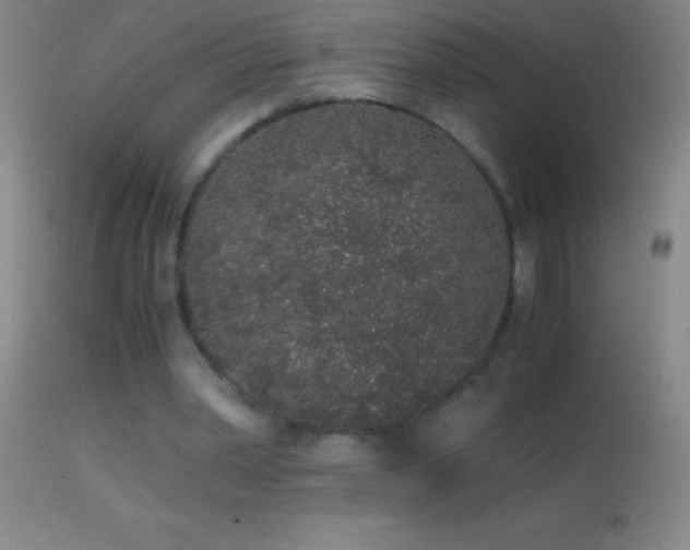 X0000114660390200910201535