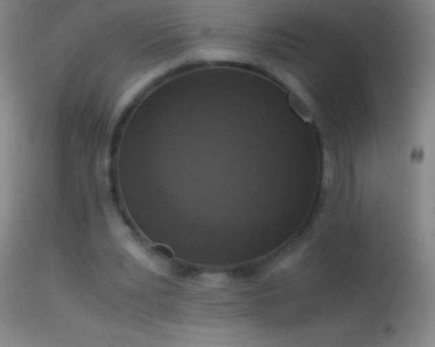 X0000114660391200910201535