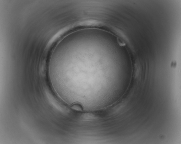 X0000114660392200910201535