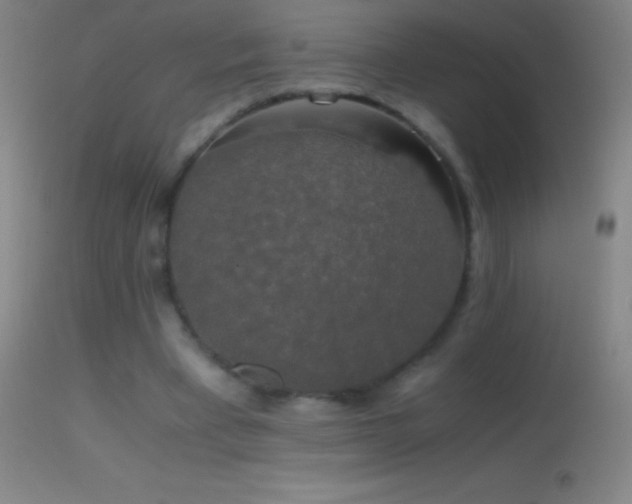 X0000114660393200910201535