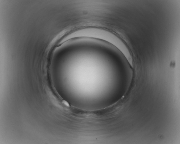 X0000114660395200910201535