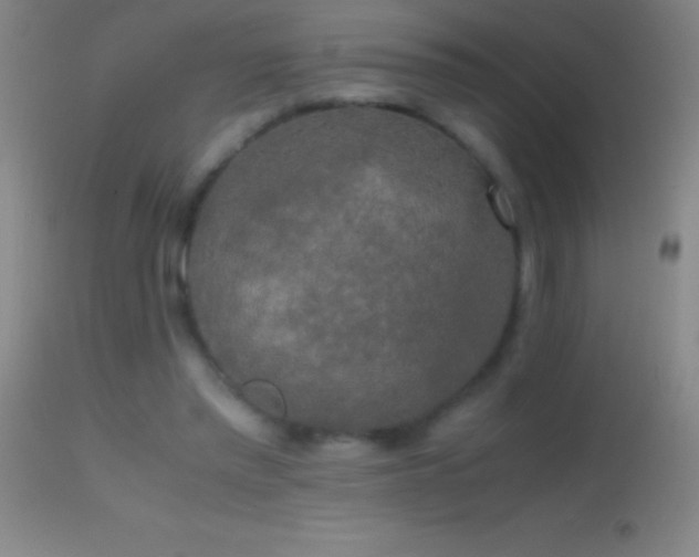 X0000114660397200910201535