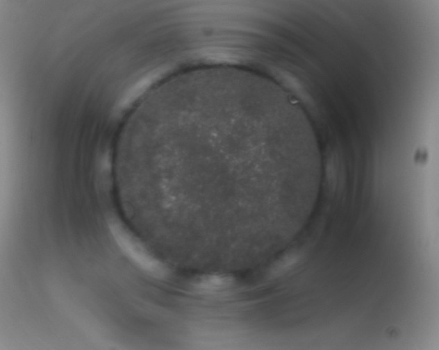 X0000114660398200910201535