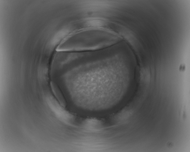 X0000114660399200910201535