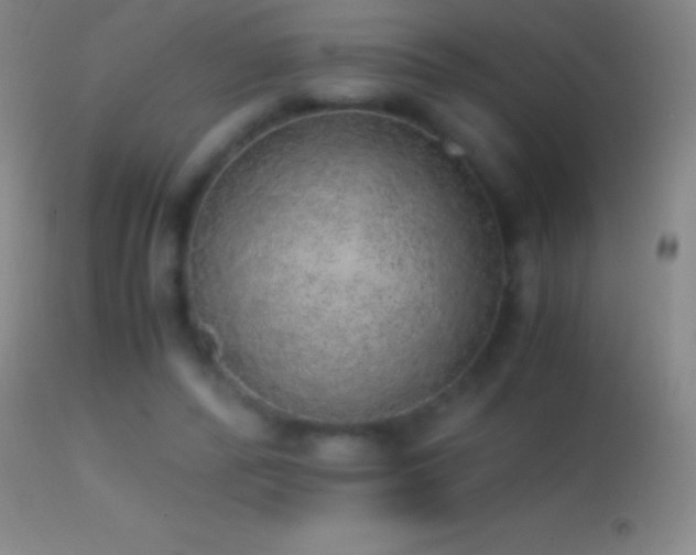 X0000114660400200910201535