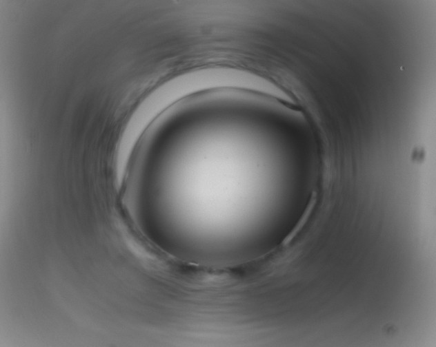 X0000114660401200910201535