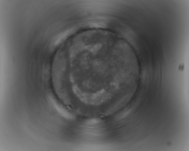 X0000114660402200910201535