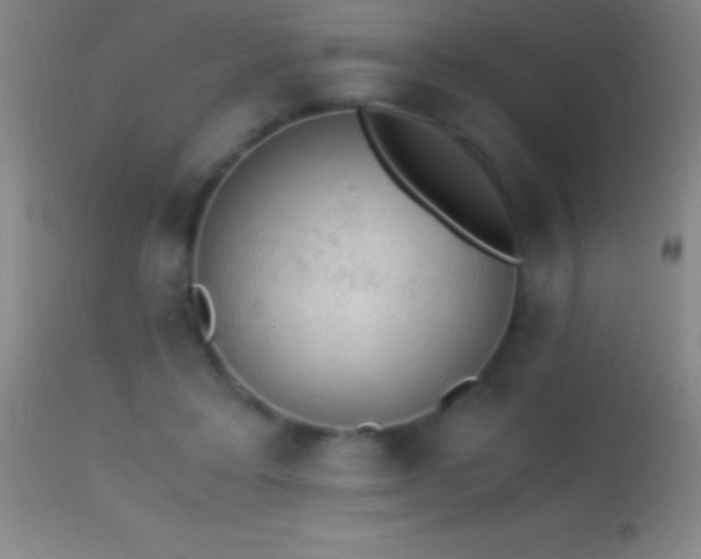 X0000114660403200910201535