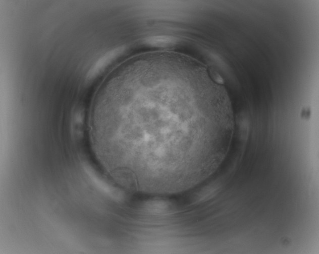 X0000114660404200910201535