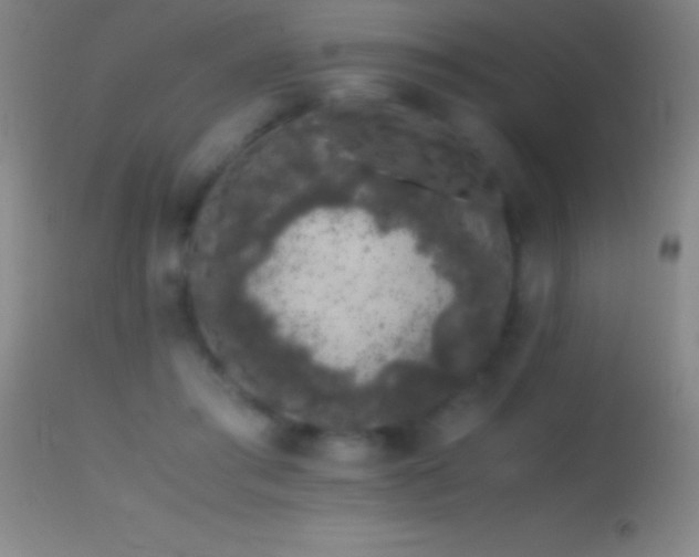 X0000114660405200910201535