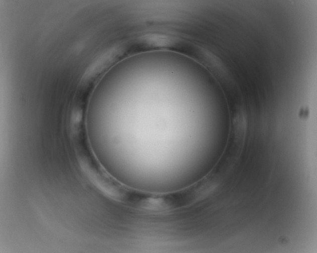 X0000114660406200910201535