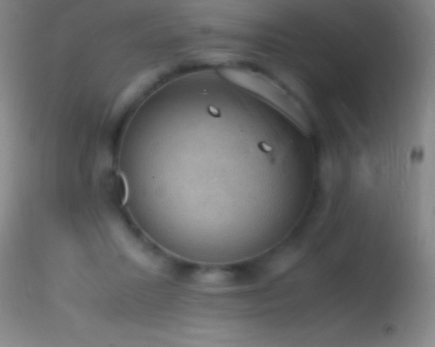 X0000114660407200910201535