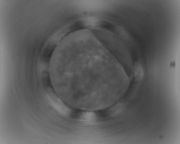 X0000114660409200910201535