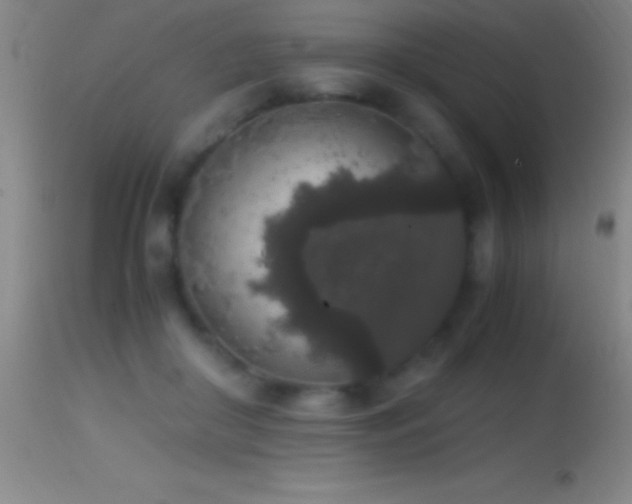 X0000114660410200910201535