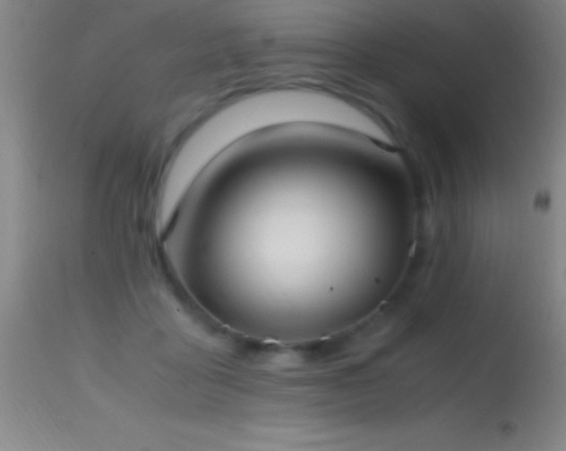 X0000114660411200910201535