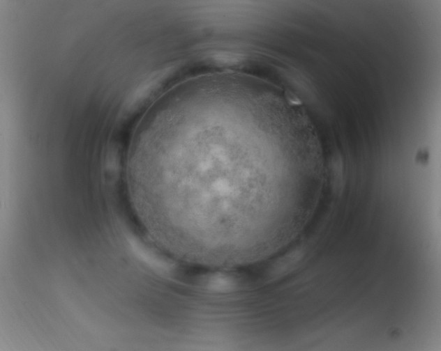 X0000114660412200910201535