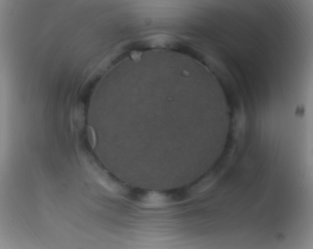 X0000114660413200910201535