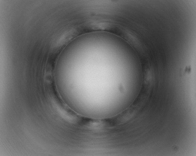 X0000114660414200910201535