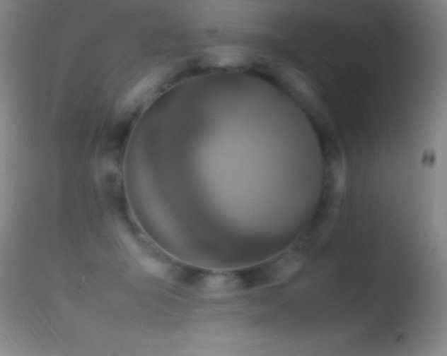 X0000114660415200910201535