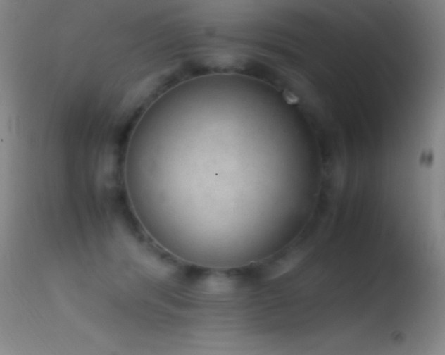 X0000114660416200910201535