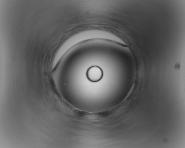 X0000114660417200910201535