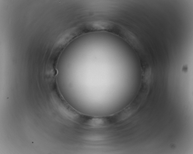 X0000114660418200910201535