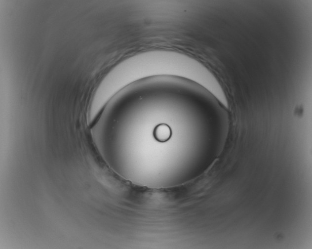 X0000114660419200910201535