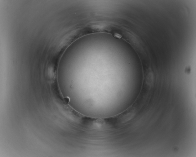 X0000114660420200910201535