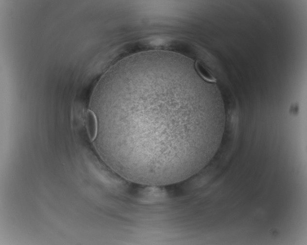 X0000114660421200910201535