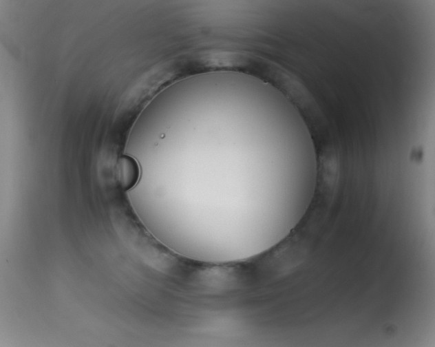 X0000114660422200910201535