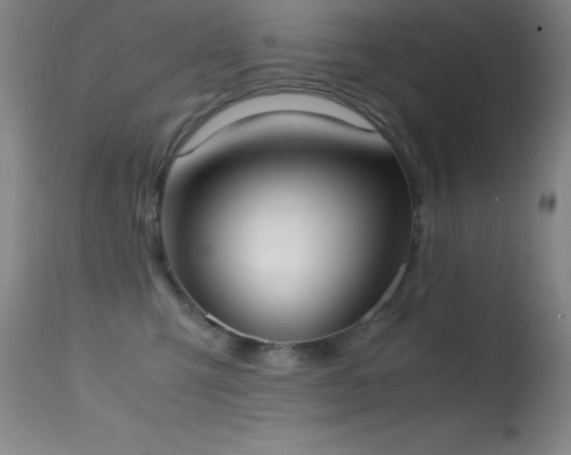 X0000114660423200910201535