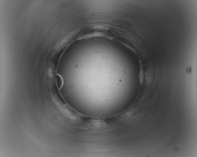 X0000114660424200910201535