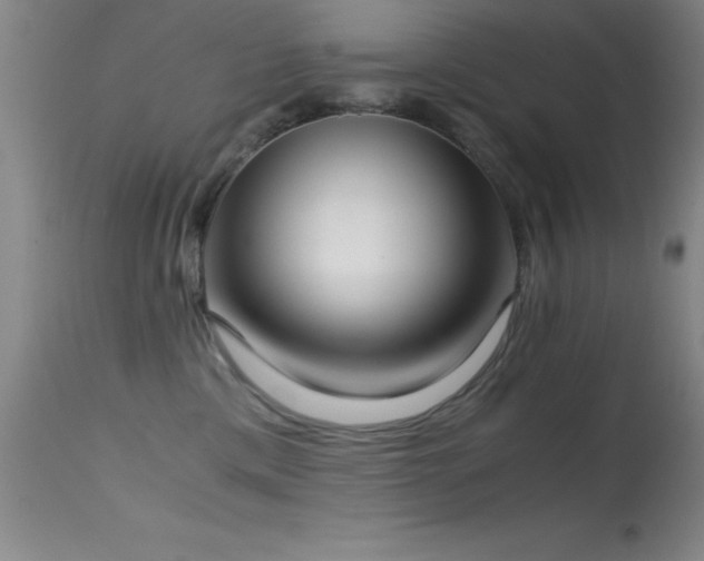 X0000114660425200910201535