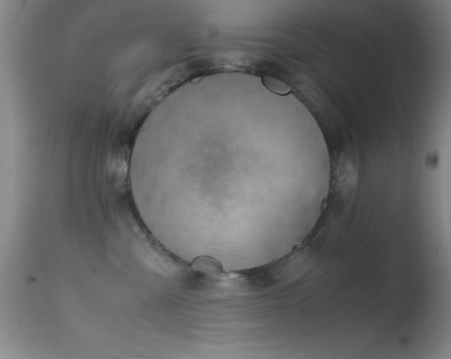 X0000114660427200910201535