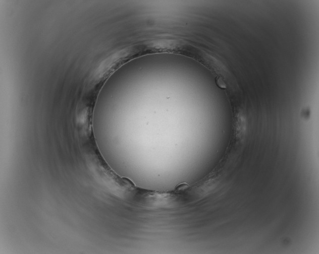 X0000114660428200910201535