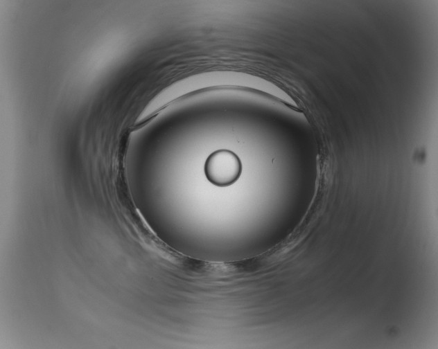 X0000114660429200910201535