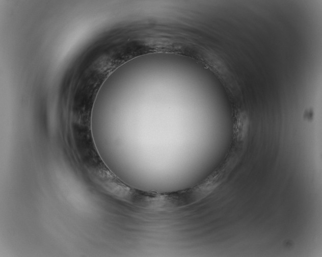 X0000114660430200910201535