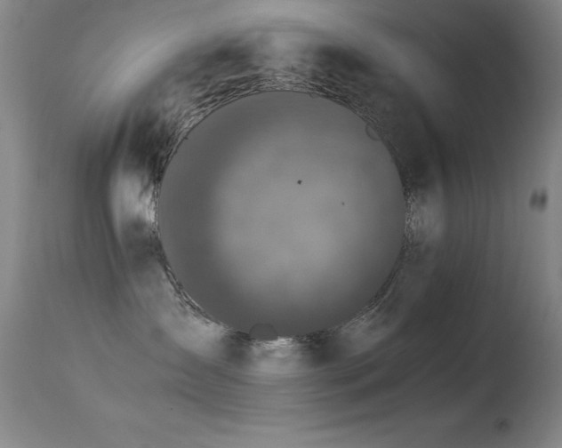 X0000114660431200910201535