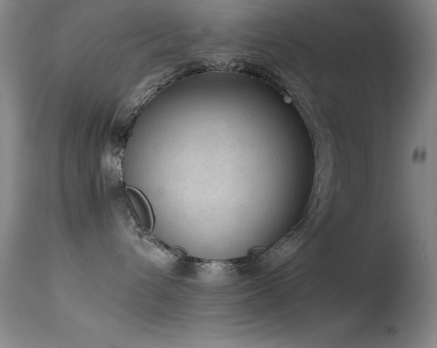 X0000114660432200910201535