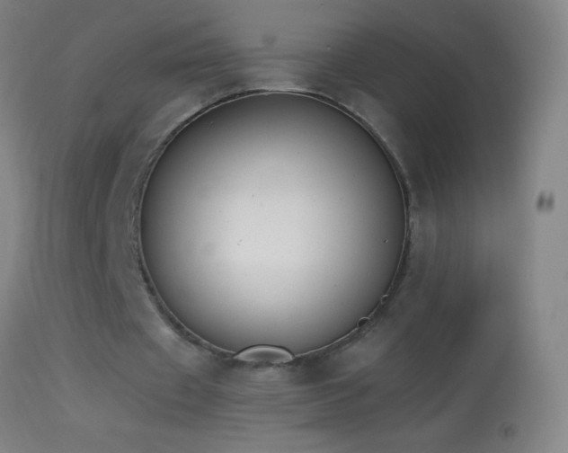 X0000114660433200910201534