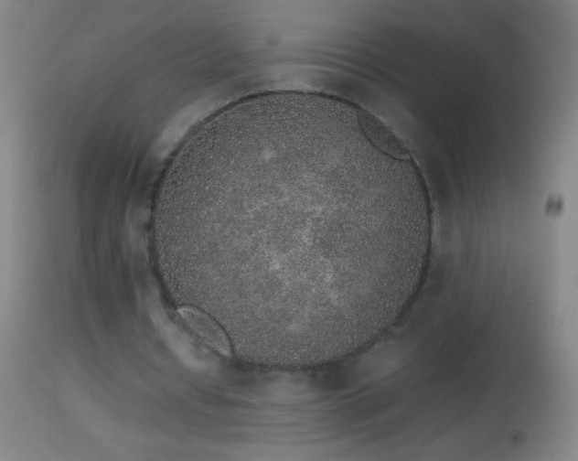 X0000114660434200910201534