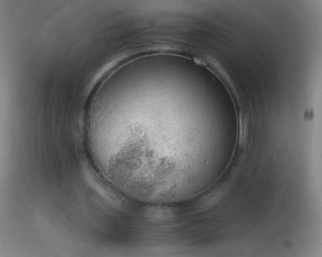 X0000114660435200910201534