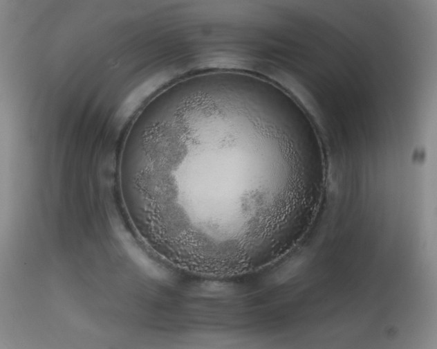 X0000114660437200910201534