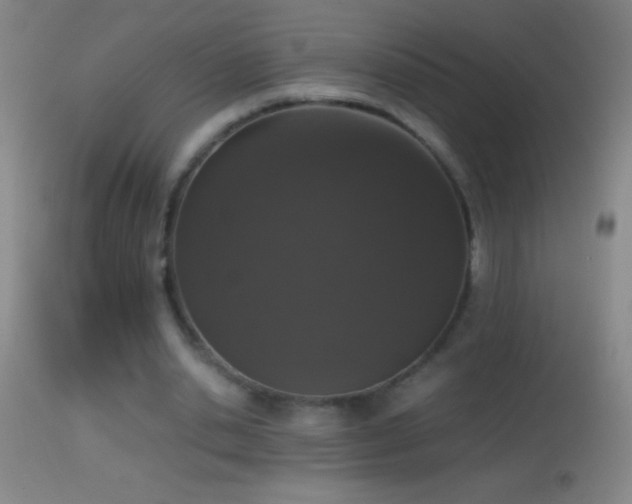 X0000114660438200910201534