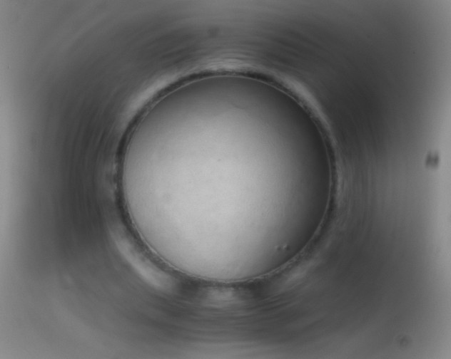 X0000114660439200910201534