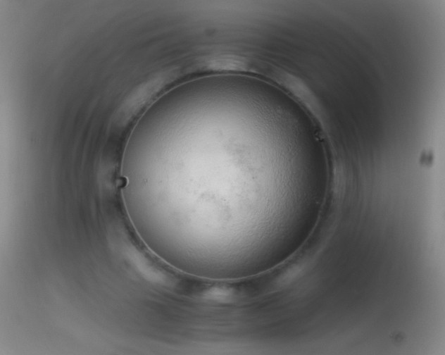 X0000114660441200910201534