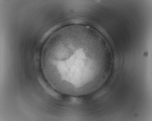 X0000114660442200910201534