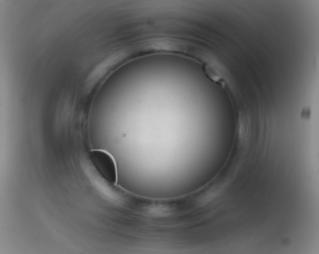 X0000114660445200910201534