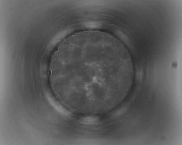 X0000114660447200910201534