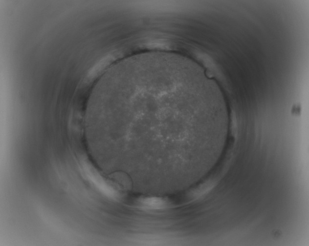 X0000114660449200910201534